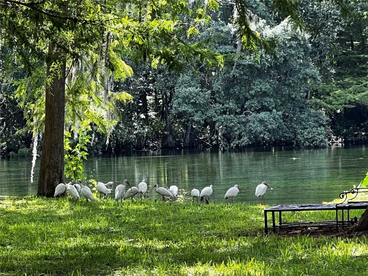 10801 SW 185th Terrace, Dunnellon, FL 34432 Photo