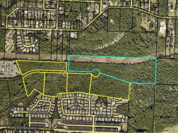 68+Acres Patriot Lane, Crestview, FL 32539