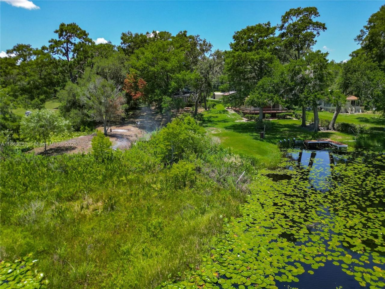 8781 S Lakeshore Dr Floral City, Floral City, FL 34436 Photo