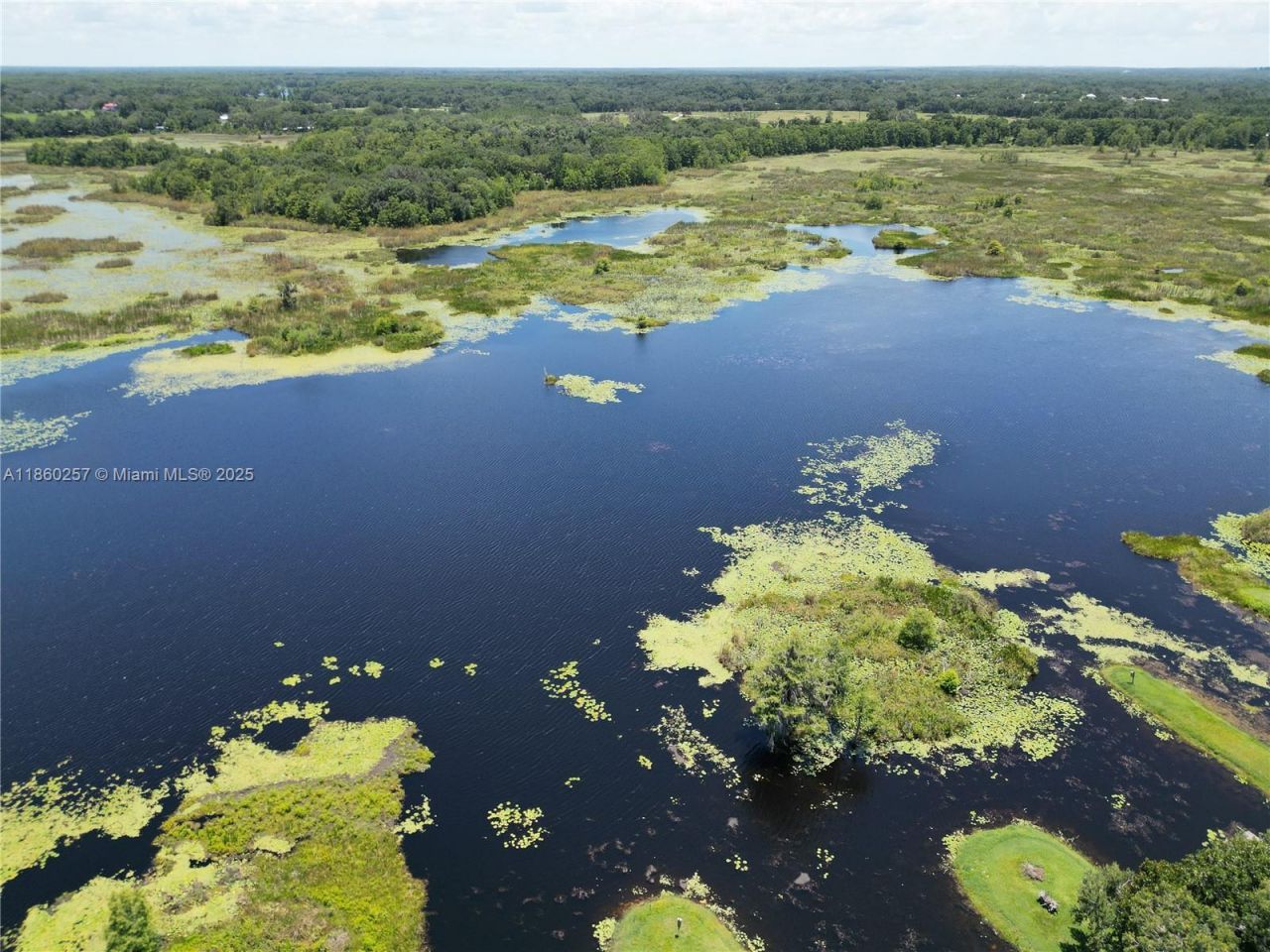 8781 S Lakeshore Drive Floral City, Floral City, FL 34436 Photo