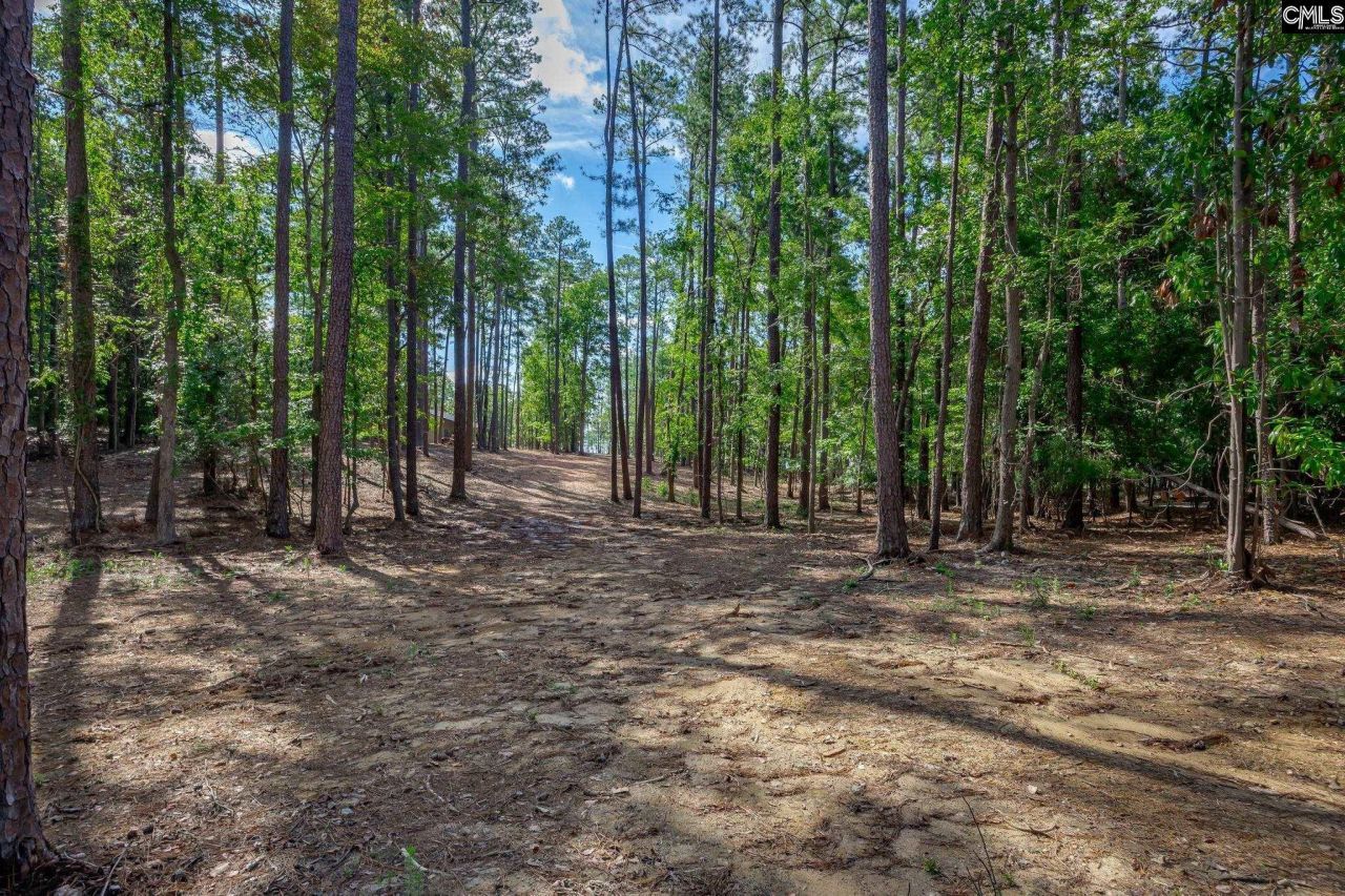 1148 Shull Island Road Photo 12