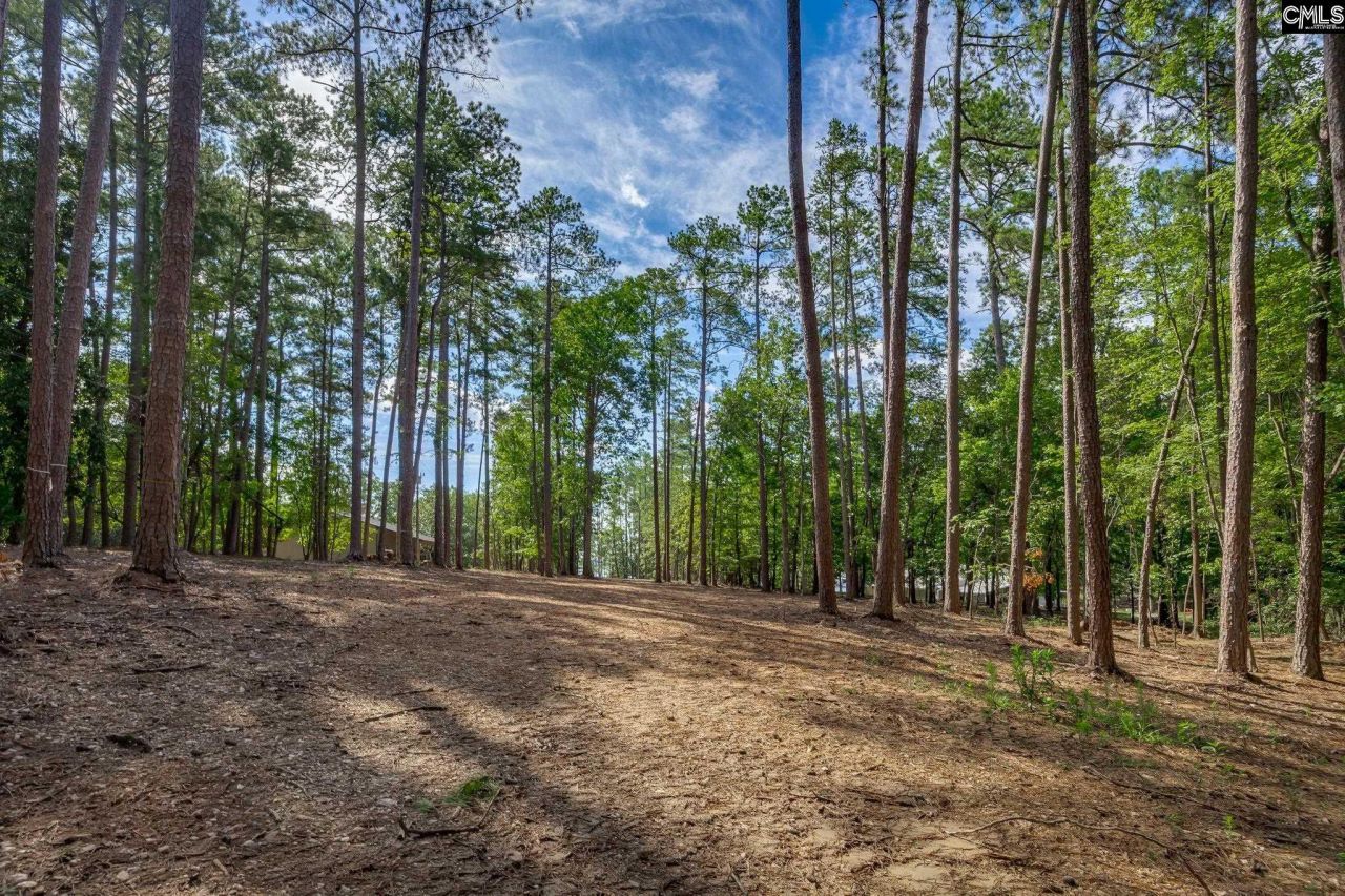 1148 Shull Island Road Photo 13