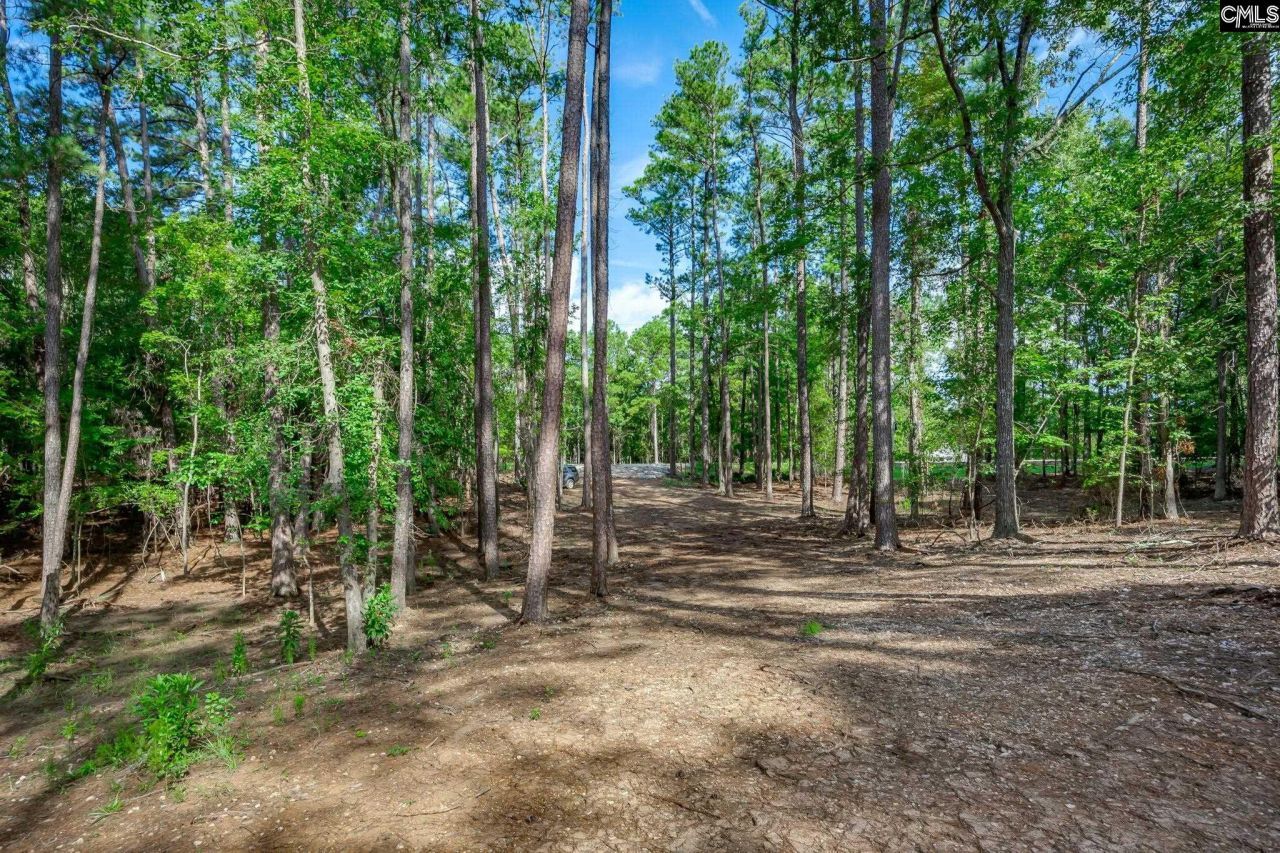 1148 Shull Island Road Photo 14