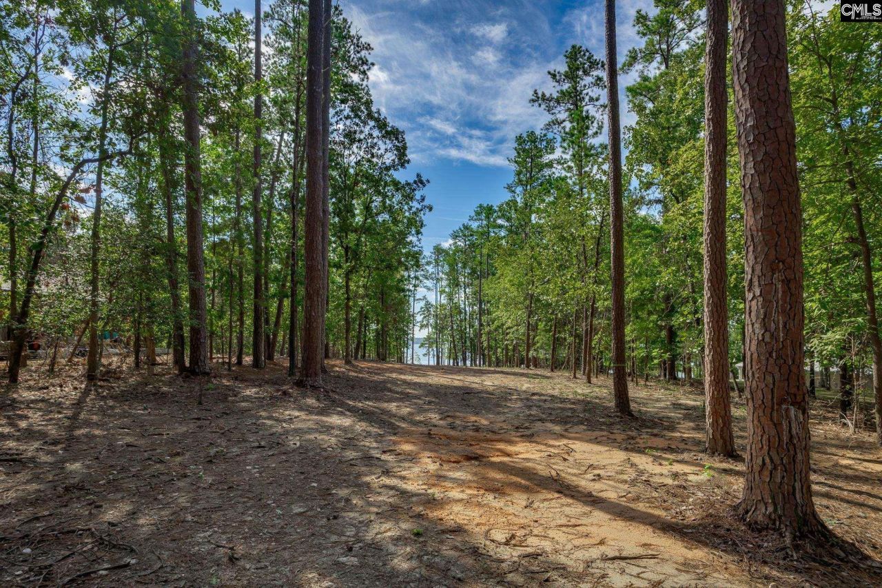 1148 Shull Island Road Photo 15