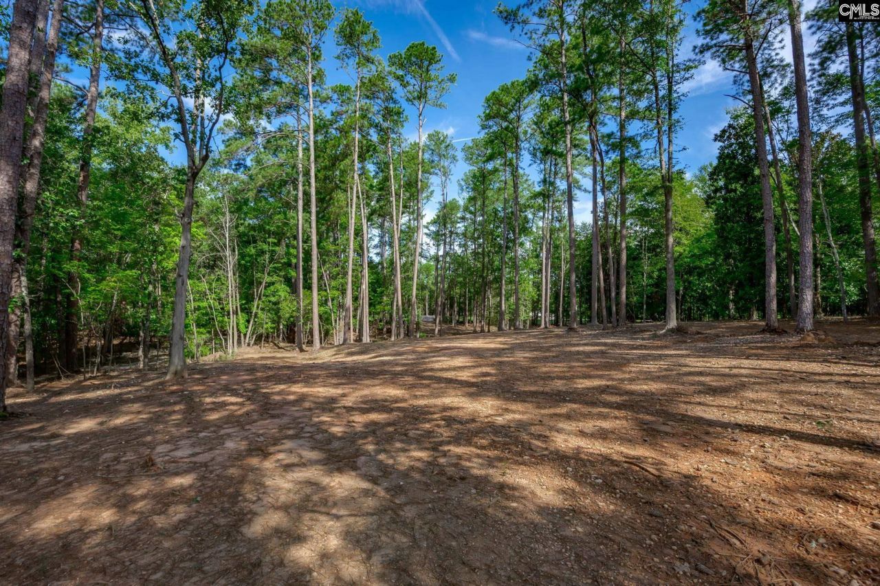 1148 Shull Island Road Photo 16