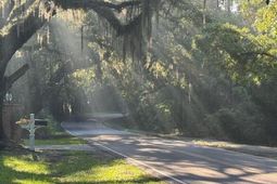 318 Mcclellan Avenue photo 4