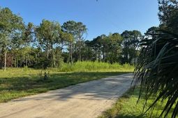 318 Mcclellan Avenue photo 4