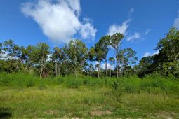 318 Mcclellan Avenue photo 4