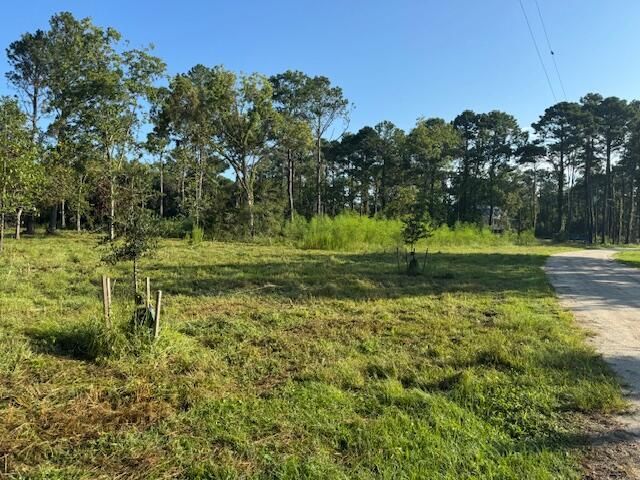 318 Mcclellan Avenue Photo 5