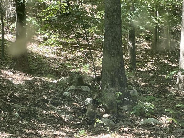 141 Duncan Ln, Poughkeepsie, AR 72569