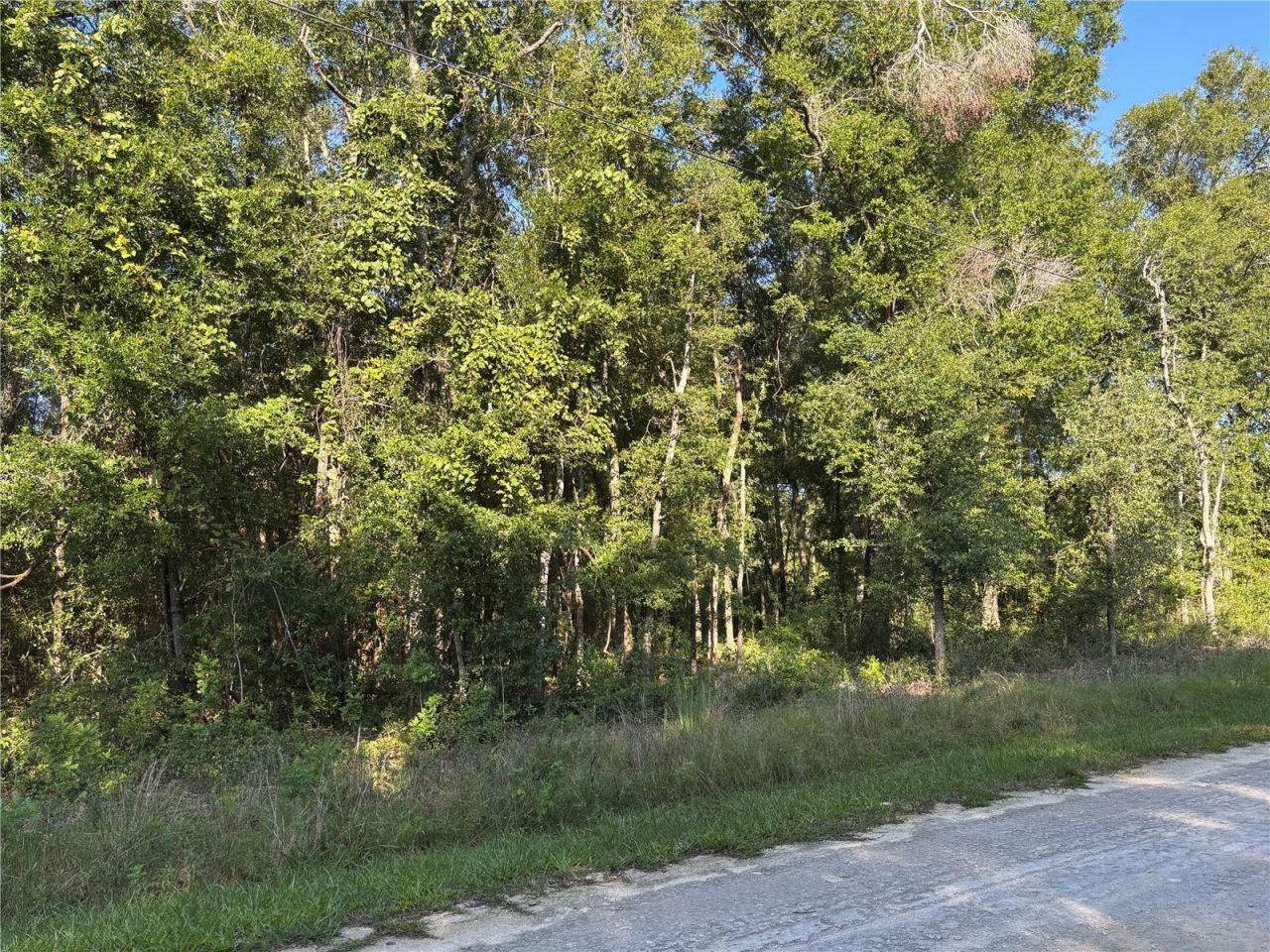 Nw 80th Court, Fanning Springs, FL 32693 Photo