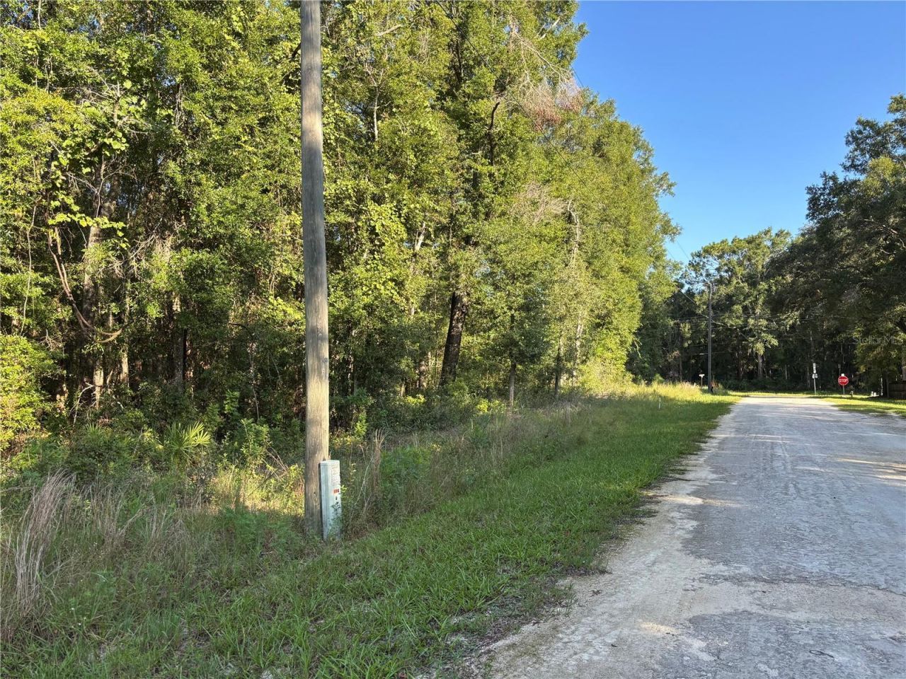 Nw 80th Court, Fanning Springs, FL 32693 Photo