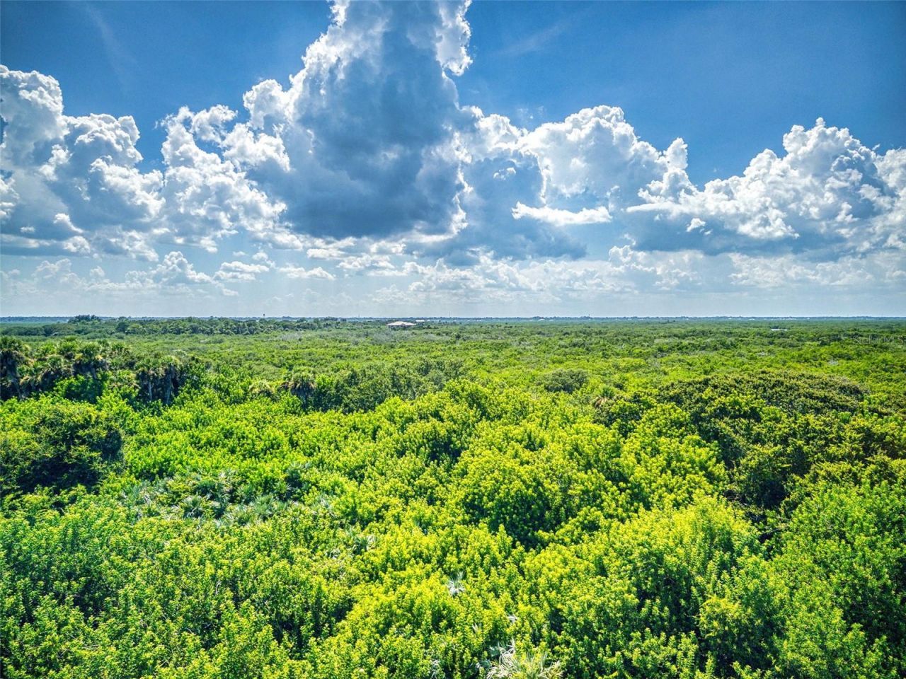 5300 Atlantic, Unit 4506, New Smyrna Beach, FL 32169 Photo