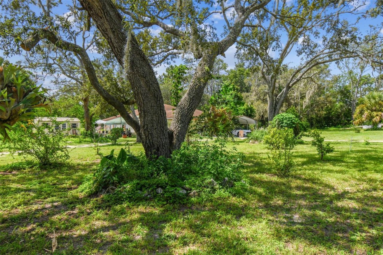 12604 Choctaw Trail, Hudson, FL 34669 Photo