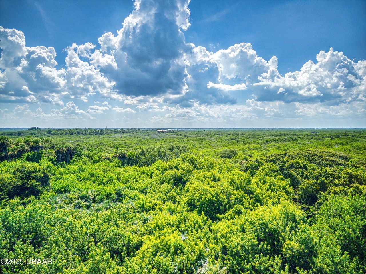 5300 S Atlantic Avenue, Unit 4506, New Smyrna Beach, FL 32169 Photo