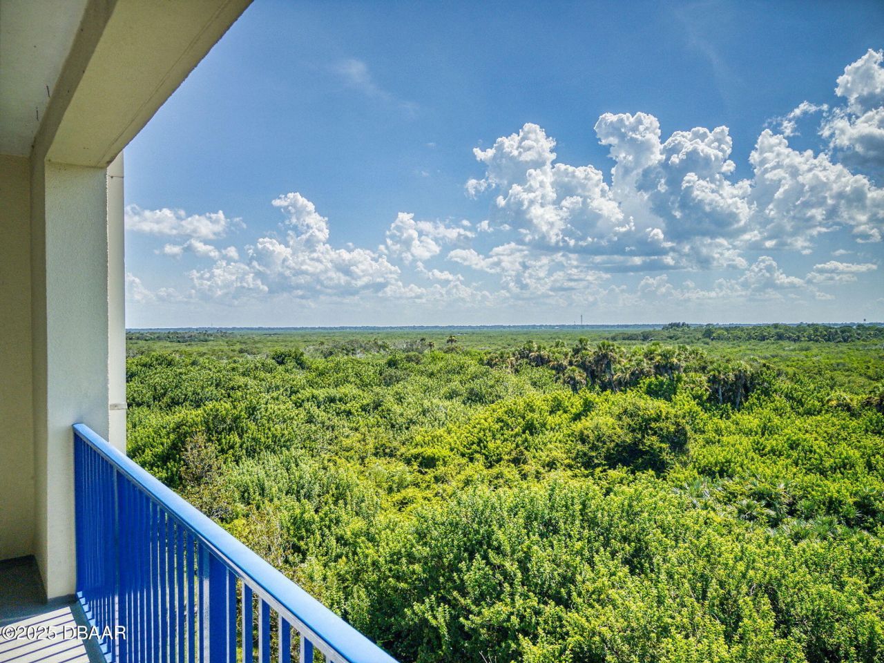 5300 S Atlantic Avenue, Unit 4506, New Smyrna Beach, FL 32169 Photo