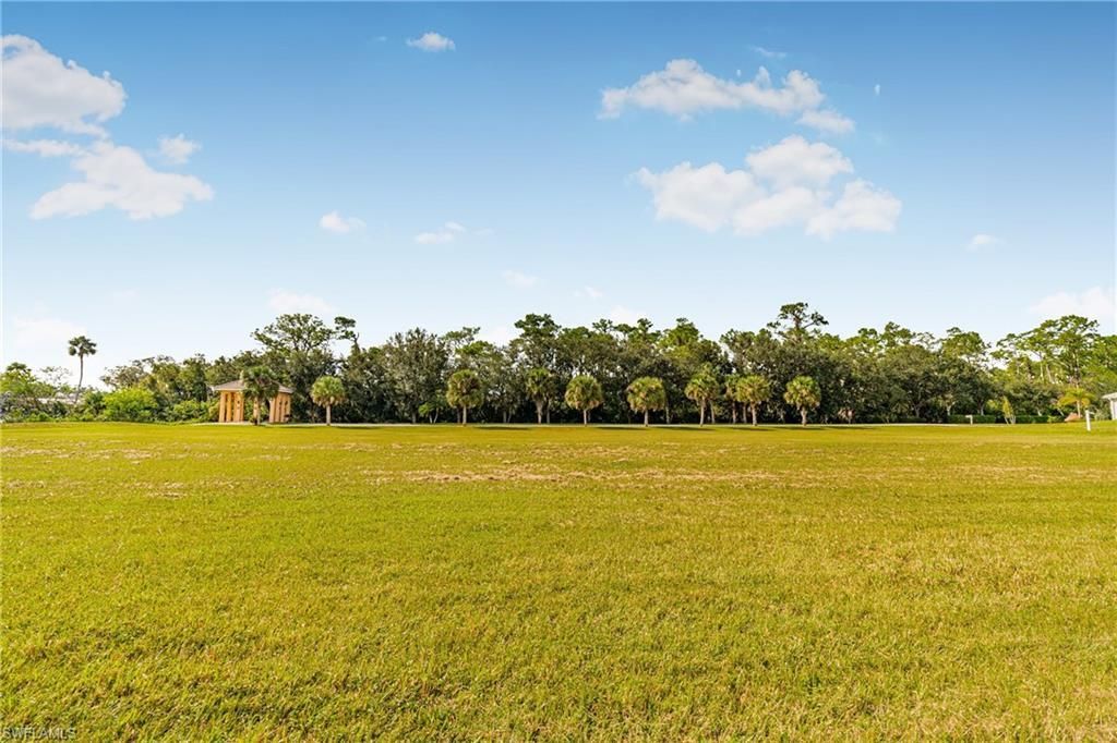 17109 Serengeti Cir, Alva, FL 33920 Photo