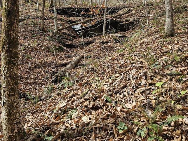 7535 Modoc Road, Burkesville, KY 42717