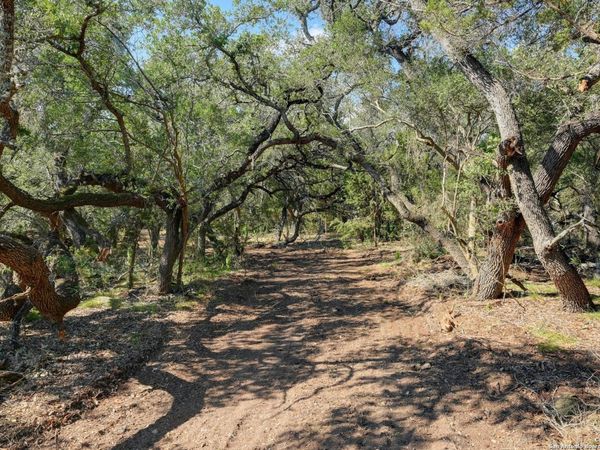 TRACT 4 Pierson Road, Blanco, TX 78606