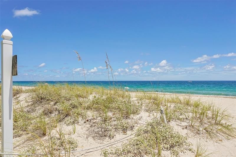 1431 S Ocean Boulevard, Pompano Beach, FL 33062 Photo