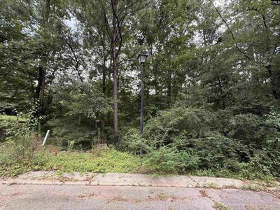 TBD Timberlane Drive, Winnsboro, SC 29180