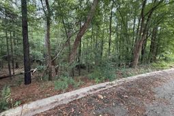 Tbd Timberlane Drive photo 4