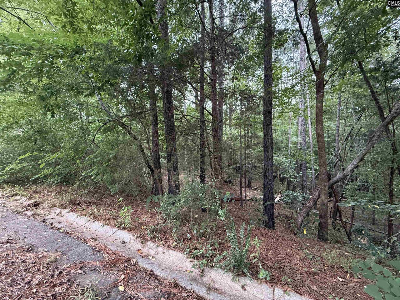 Tbd Timberlane Drive Photo 4