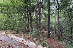 Tbd Timberlane Drive photo 4