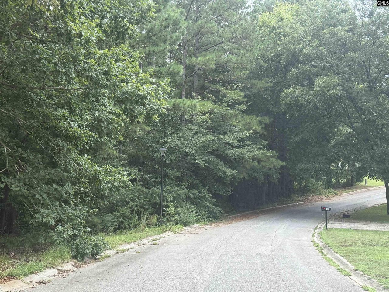 Tbd Timberlane Drive Photo 5