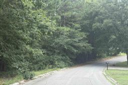 Tbd Timberlane Drive photo 4