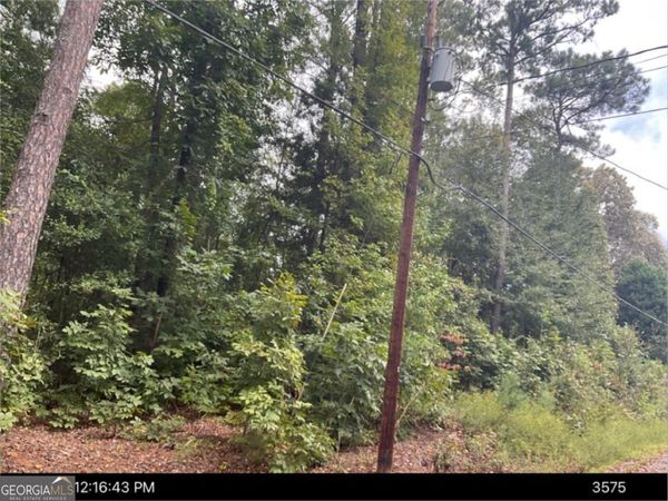 072 017 Hwy 112 SE, Toomsboro, GA 31090