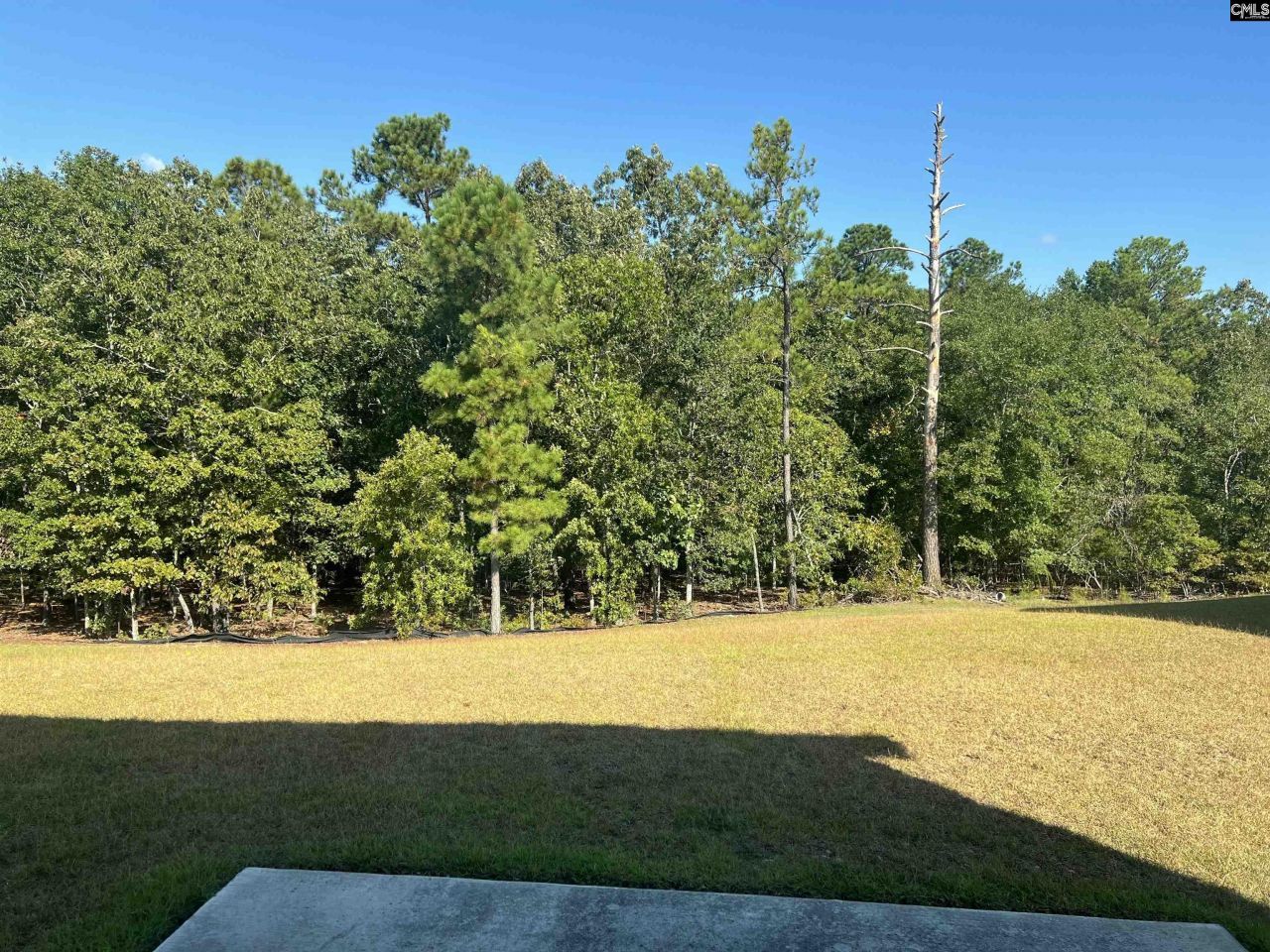 645 Teaberry Drive Photo 27