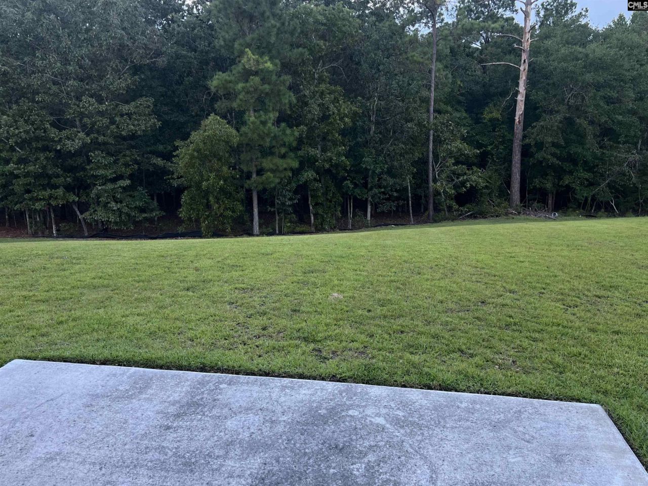 645 Teaberry Drive Photo 28