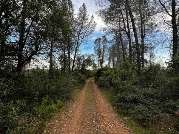 0 Donkey Mine Road, Oak Run, CA 96069