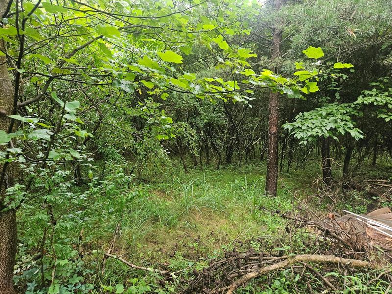 6104 Boyer Road, Guysville, OH 45735 Photo 29