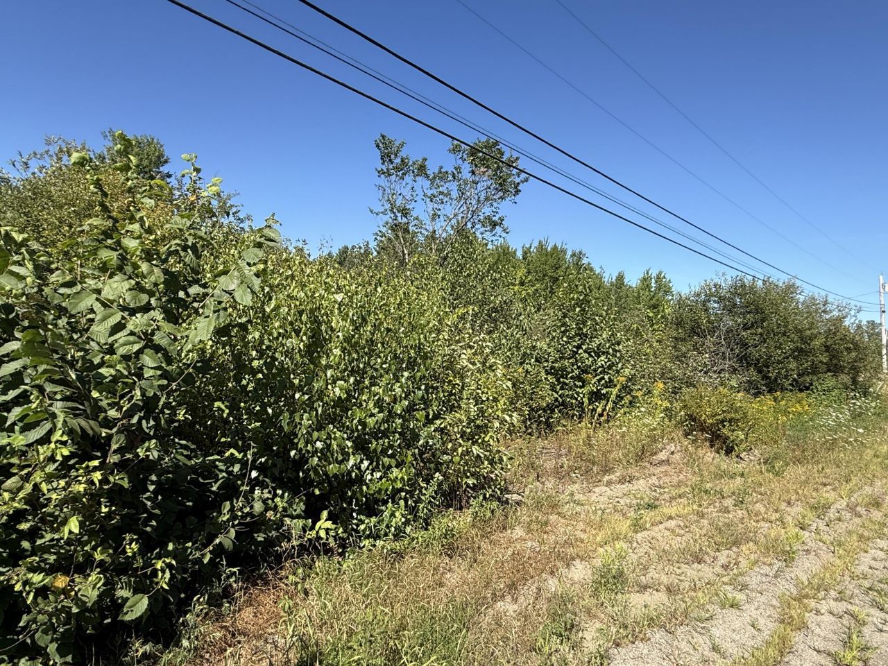 9a Clark Road, Kenduskeag, ME 04450 Main Photo