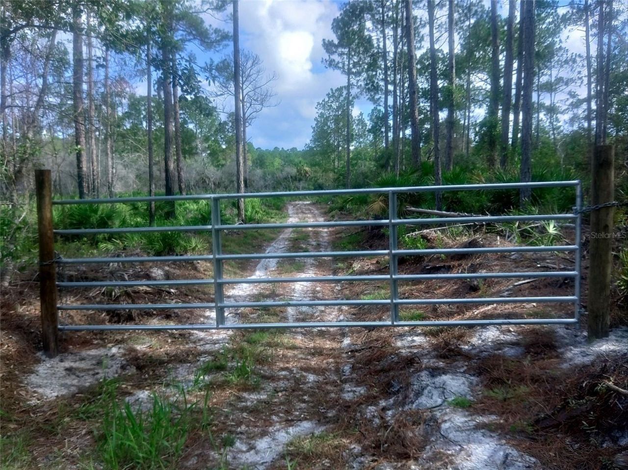 Sw 75th St, Cedar Key, FL 32625 Photo