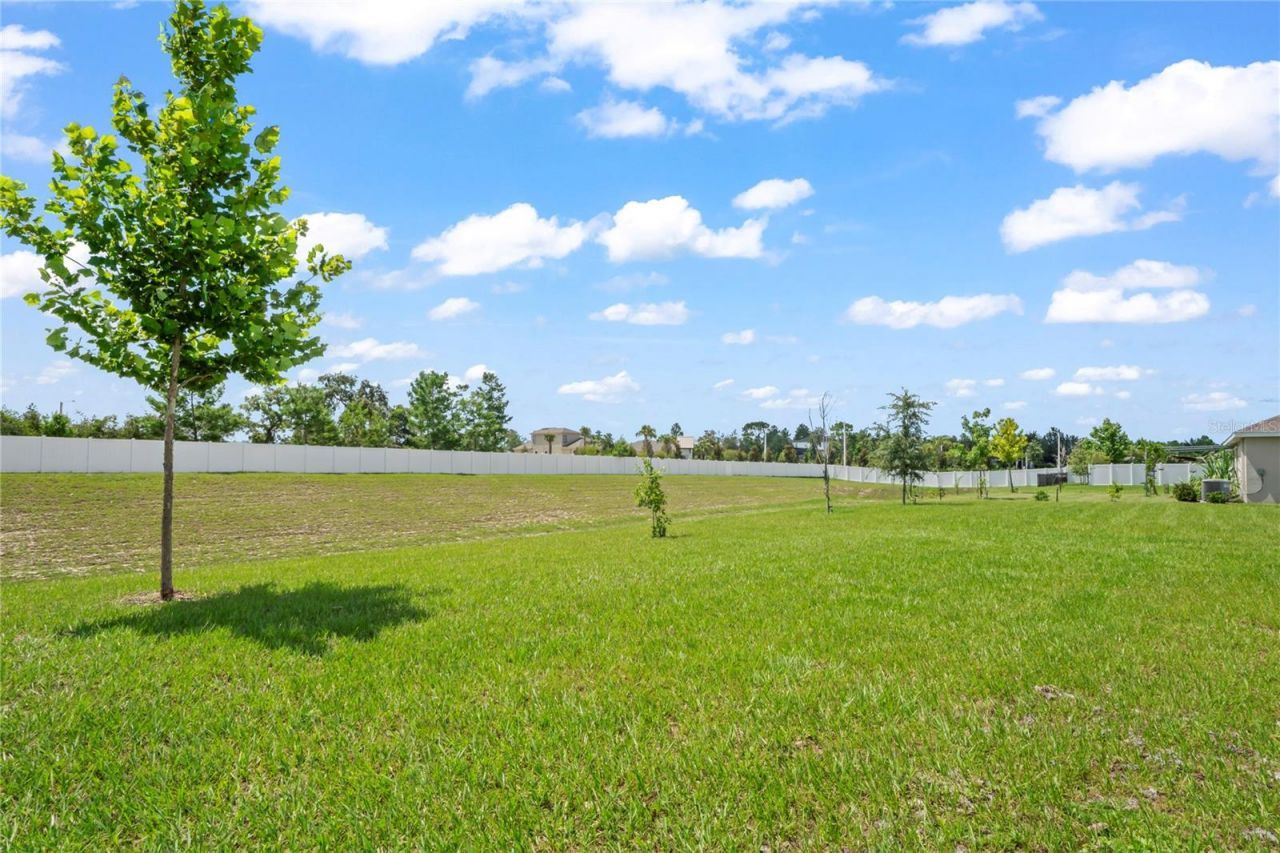 4041 Autumn Amber, Spring Hill, FL 34609 Photo