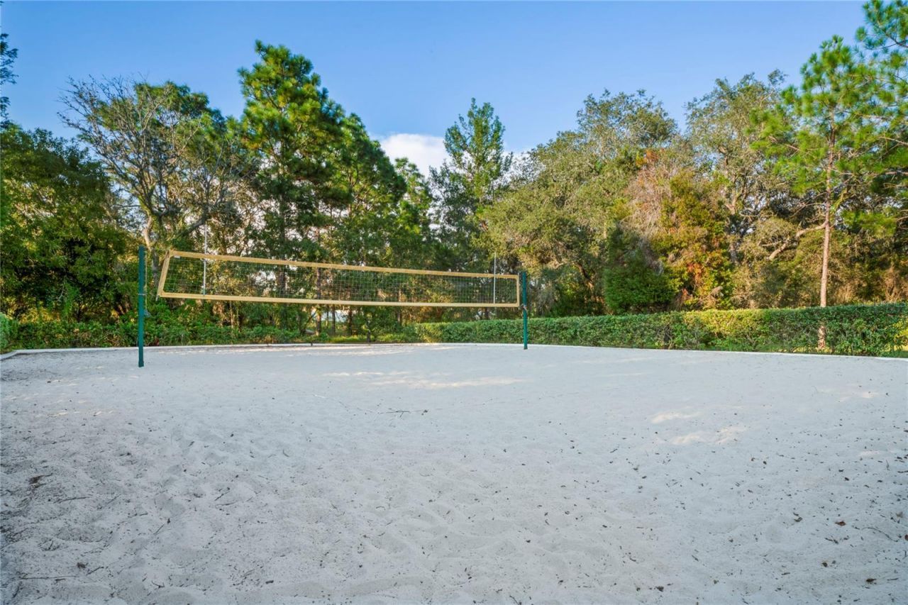 4041 Autumn Amber, Spring Hill, FL 34609 Photo