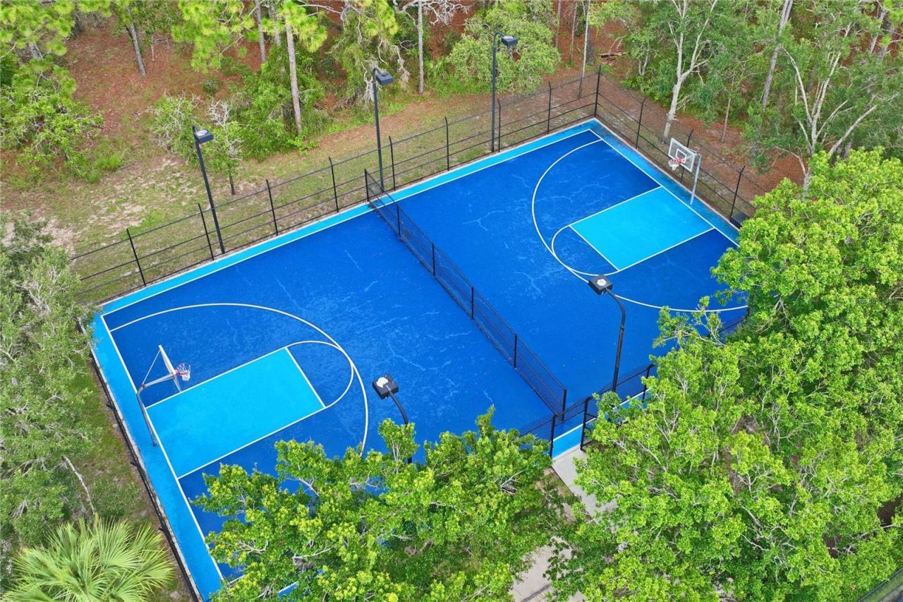4041 Autumn Amber, Spring Hill, FL 34609 Photo
