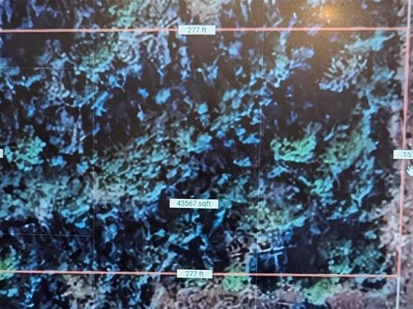 STONE CRAB, PERRY, FL 32348