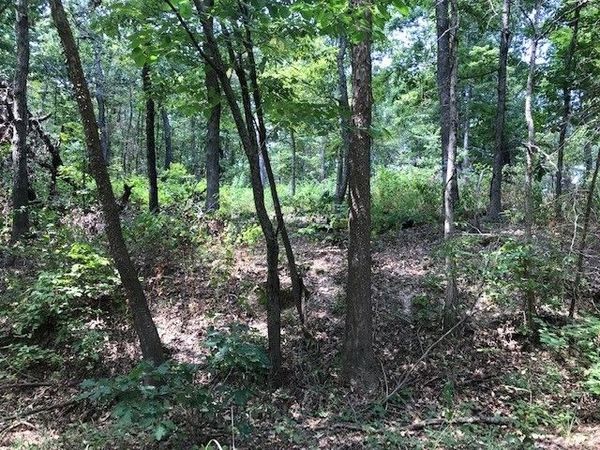Lot 23 Block 2 Armitage Drive, Bella Vista, AR 72715