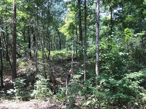 Lot 23 Block 2 Armitage Drive, Bella Vista, AR 72715