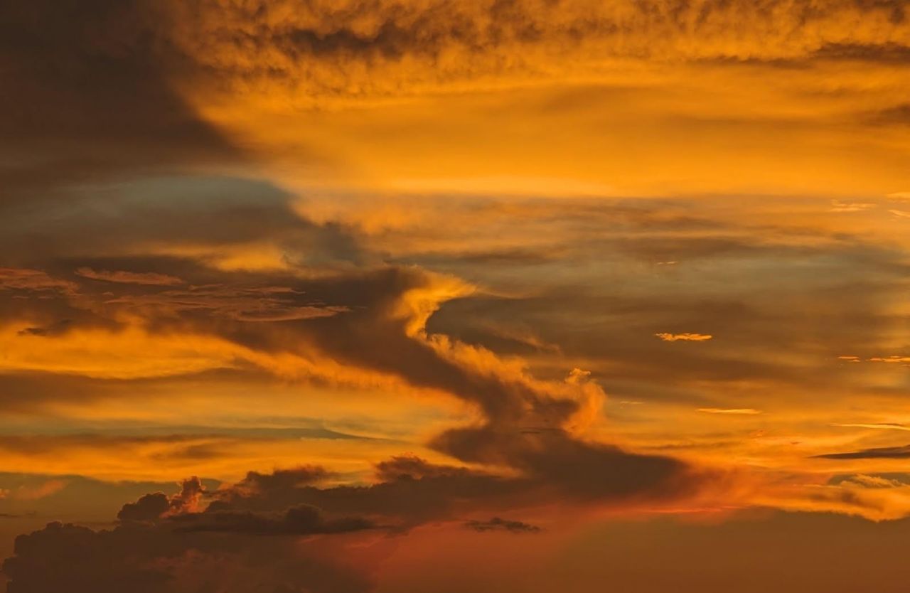 3100 NE 49th Street, Unit PH10, Fort Lauderdale, FL 33308 Photo