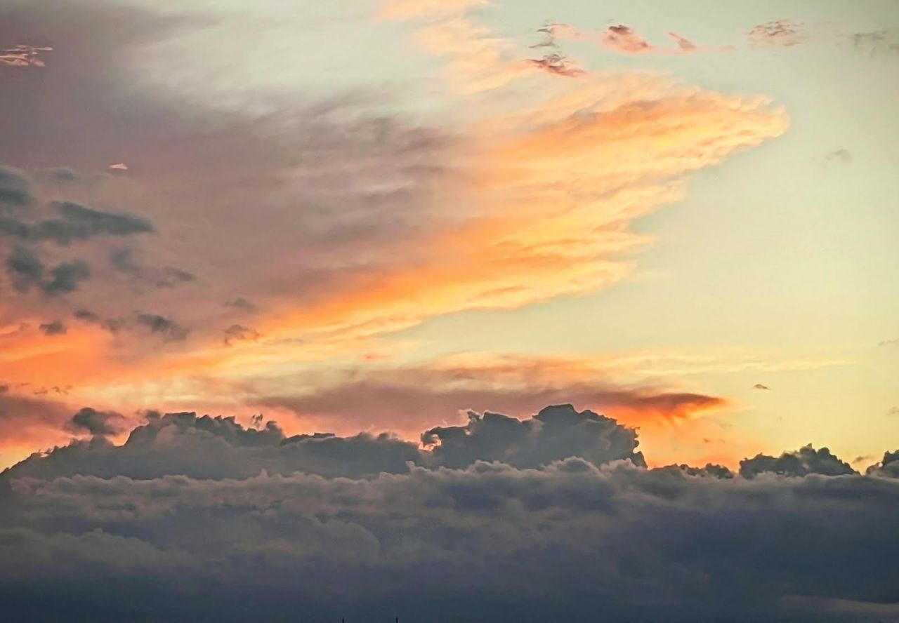 3100 NE 49th Street, Unit PH10, Fort Lauderdale, FL 33308 Photo