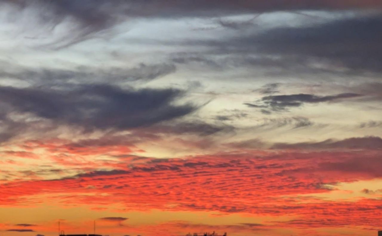 3100 NE 49th Street, Unit PH10, Fort Lauderdale, FL 33308 Photo