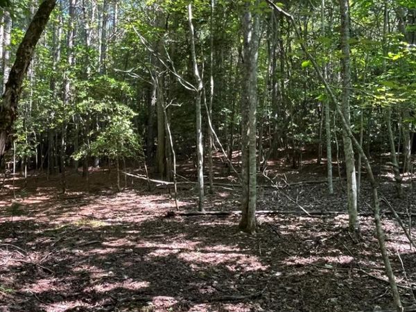 Lot 17 Hidden Branch Drive, Young Harris, GA 30582