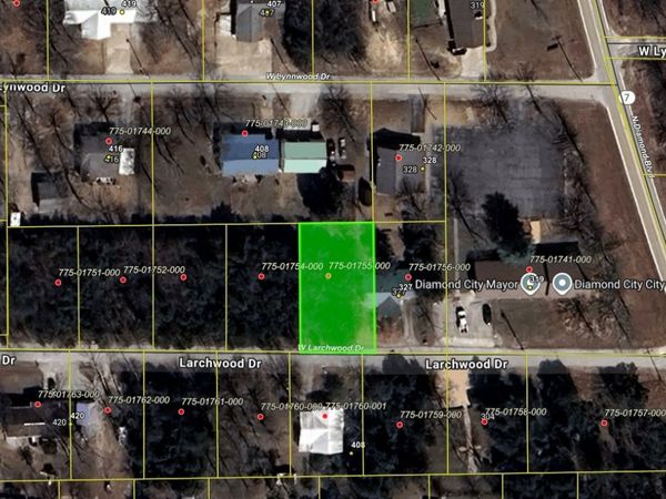 775-01755-000 Larchwood Drive , Diamond City, AR 72644