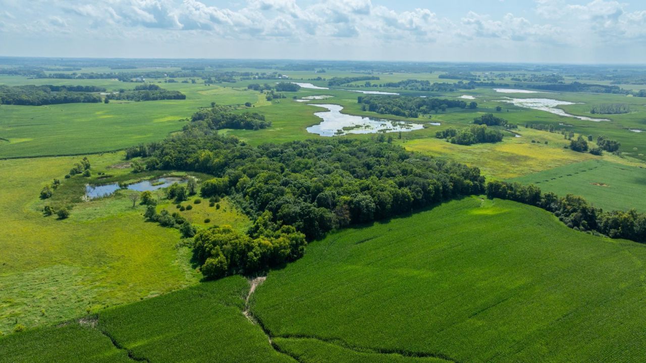 9380 County Road 51, Cologne, MN 55322