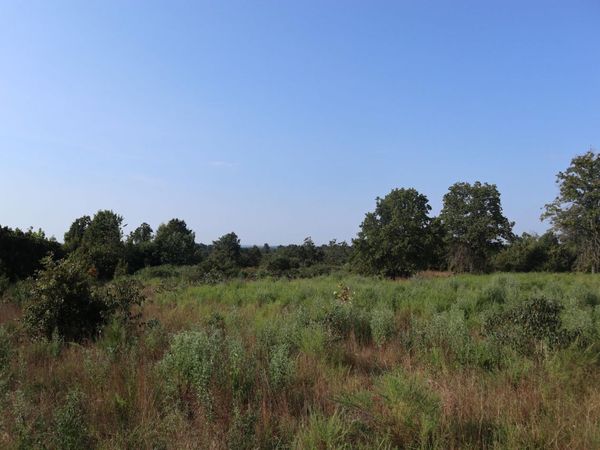 TBD Brookgrove Trl, Camp, AR 72520